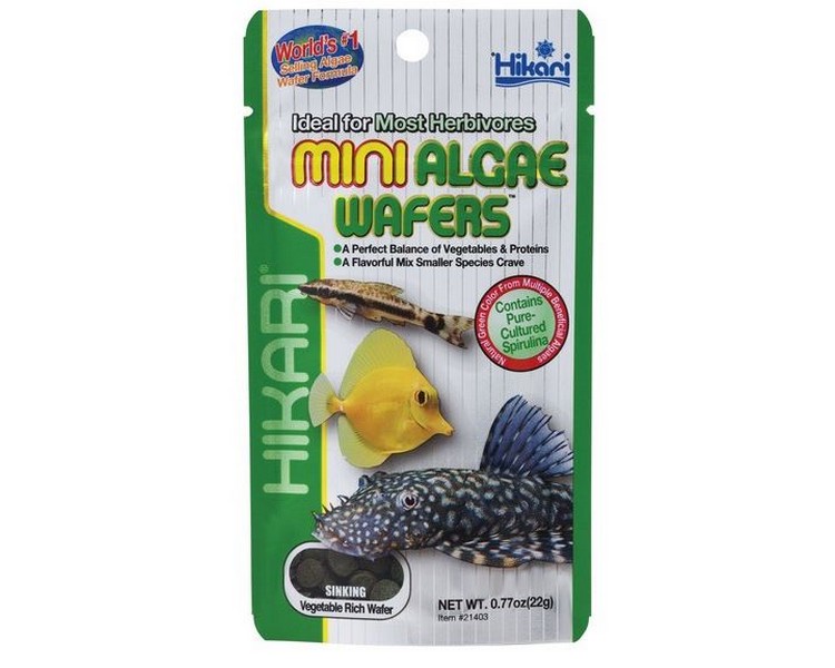 Hikari Mini Algae Wafers - 22g